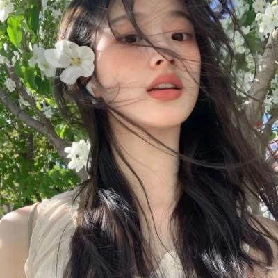 李米的猜想